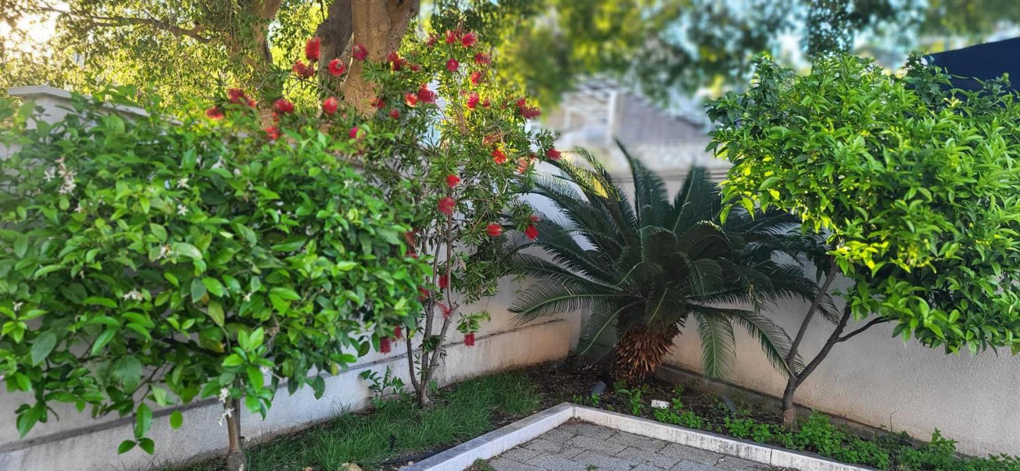 Apartments Villa Alba Dubrovnik Exterior foto